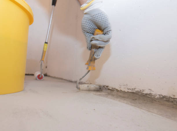 Best Real Estate Pest Inspections  in Mundelein, IL